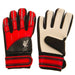 Liverpool FC Delta Goalkeeper Gloves Kids