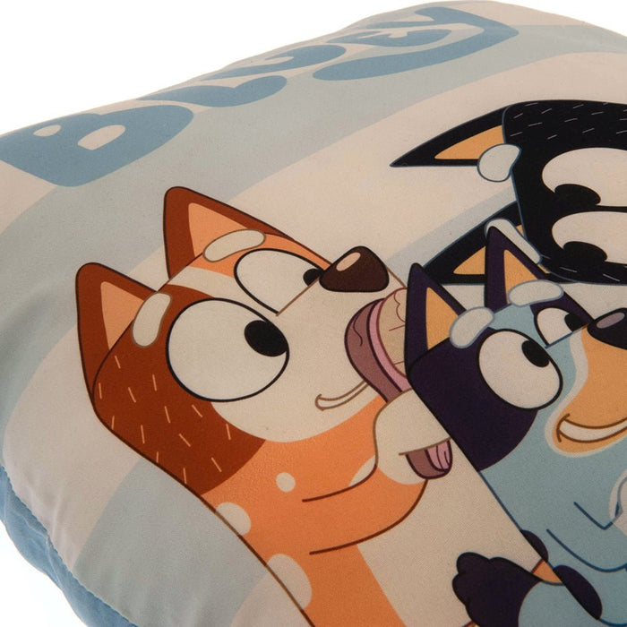 Bluey Cushion - Excellent Pick