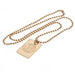 Chelsea FC Gold Plated Dog Tag & Chain - Excellent Pick