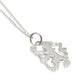Chelsea FC Sterling Silver Pendant & Chain LN - Excellent Pick