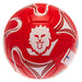 England Lionesses Football - Excellent Pick