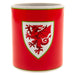 FA Wales Mug FD - Excellent Pick