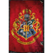 Harry Potter Poster Hogwarts 262 - Excellent Pick