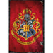 Harry Potter Poster Hogwarts 262 - Excellent Pick