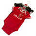 Wales RU 2 Pack Bodysuit 6-9 Mths PC - Excellent Pick